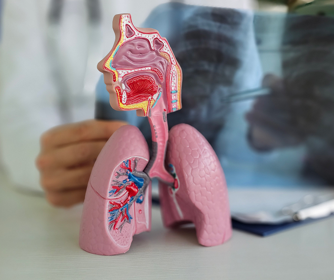 Quit Cannabis with Cannabis Cessation Laser Therapy